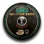 Семя Auto Afghan сид банка Master-Seed