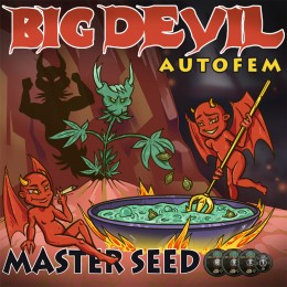 Auto Big Devil fem. Master-Seed