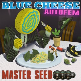 Auto Blue Cheese fem. Master-Seed