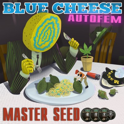 Семя Auto Blue Cheese сид банка Master-Seed