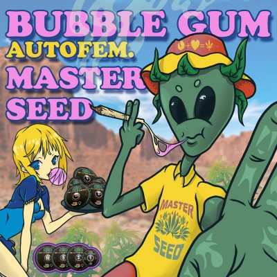 Семя Auto Bubble Gum сид банка Master-Seed