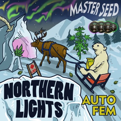 Насіння Auto CBD Northern Lights сід банку Master-Seed