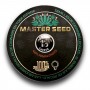Насіння Auto Cheese сід банку Master-Seed
