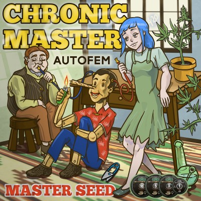 Семя Auto Chronic Master сид банка Master-Seed