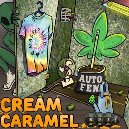 Auto Cream Caramel fem. Master-Seed