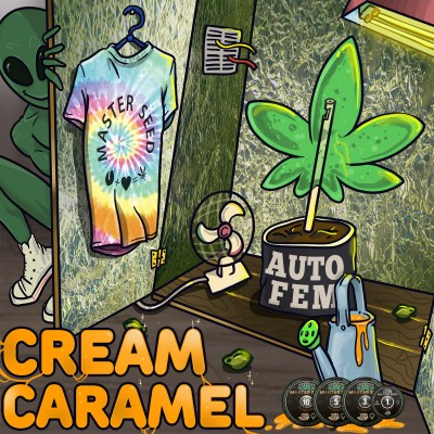Насіння Auto Cream Caramel сід банку Master-Seed