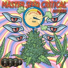Auto Critical fem. Master-Seed