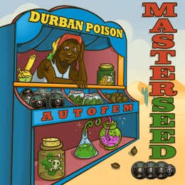 Auto Durban Poison fem. Master-Seed