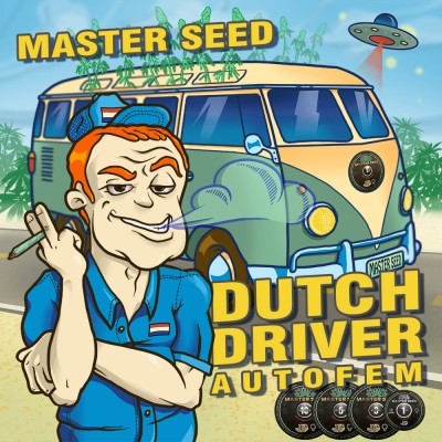 Семя Auto Dutch Driver сид банка Master-Seed