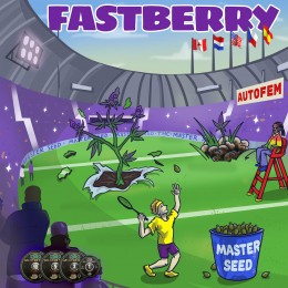 Auto Fastberry fem. Master-Seed
