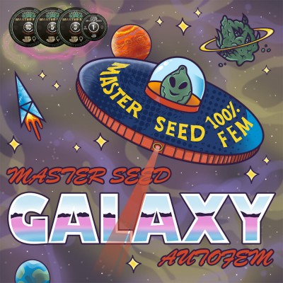 Насіння Auto Galaxy сід банку Master-Seed