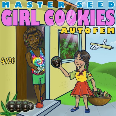 Насіння Auto Girl Cookies сід банку Master-Seed