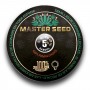 Семя Auto Kabool сид банка Master-Seed