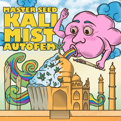 Насіння Auto Kali Mist сід банку Master-Seed