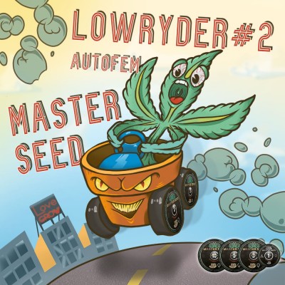 Семя Auto Lowryder#2 сид банка Master-Seed
