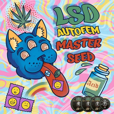 Семя Auto LSD сид банка Master-Seed