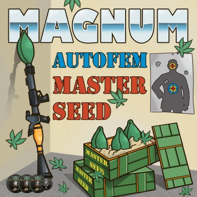 Семя Auto Magnum сид банка Master-Seed