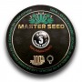 Семя Auto Mamba Negra сид банка Master-Seed