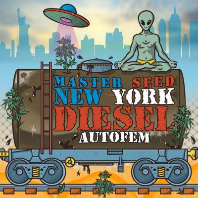 Семя Auto New York Diesel сид банка Master-Seed