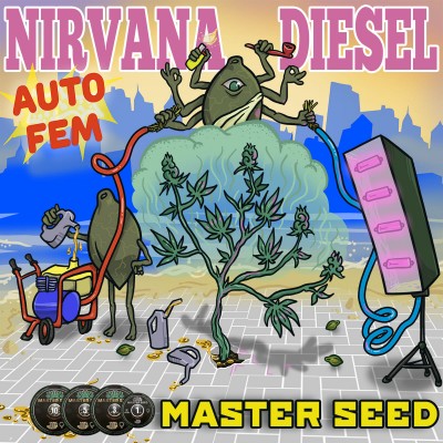 Насіння Auto Nirvana Diesel сід банку Master-Seed