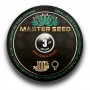 Насіння Auto Opium сід банку Master-Seed