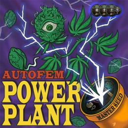Auto Power Plant fem. Master-Seed