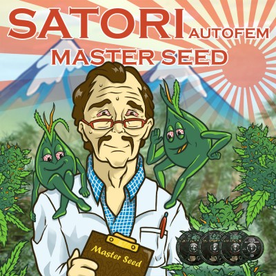 Насіння Auto Satori сід банку Master-Seed