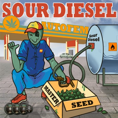 Семя Auto Sour Diesel сид банка Master-Seed