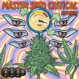 Auto Critical fem. Master-Seed