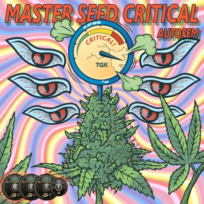 Семя Auto Critical сид банка Master-Seed