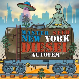 Auto New York Diesel fem. Master-Seed