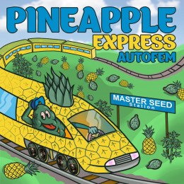 Auto Pineapple Express fem. Master-Seed