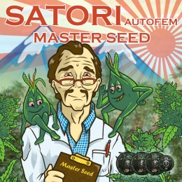 Auto Satori fem. Master-Seed