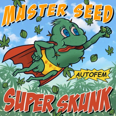 Семя Auto Super Skunk сид банка Master-Seed