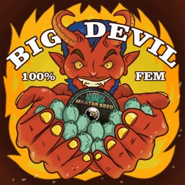 Big Devil fem. Master-Seed