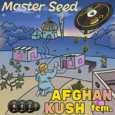 Семя Afghan Kush сид банка Master-Seed