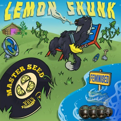 Семя Lemon Skunk сид банка Master-Seed